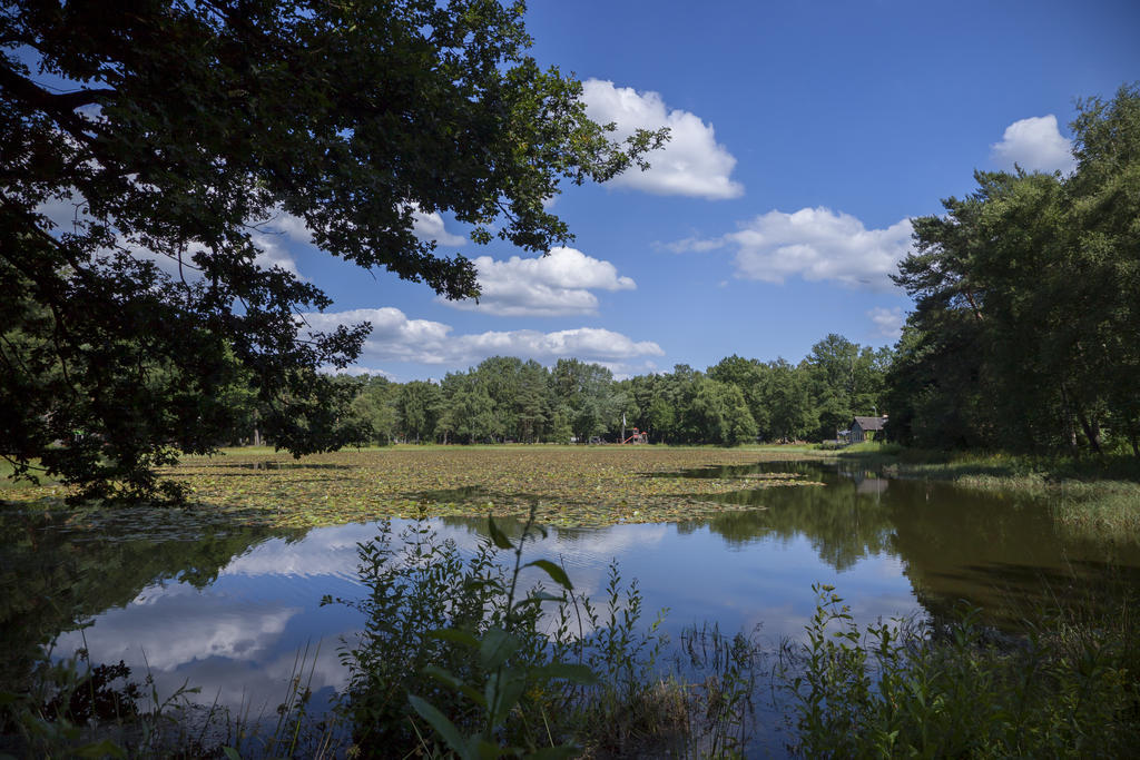 't Vosseven vakantiehuizen Stramproy Buitenkant foto